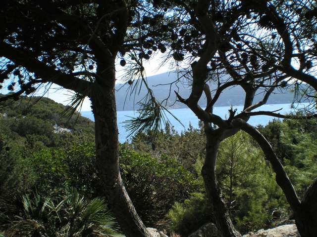 Passeggiando tra lepalme e gli agavi, uno stupendo panorama si disciela fra alberi e piante varie... Il mare chiama da laggiu', lontano, mentre le colline completano la cornice di questo posto incantato.